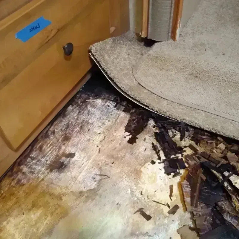 Best Wood Floor Water Damage Service in Calverton, NY